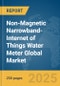 Non-Magnetic Narrowband-Internet of Things (NB-IoT) Water Meter Global Market Report 2025 - Product Thumbnail Image