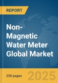 Non-Magnetic Water Meter Global Market Report 2025- Product Image