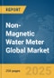 Non-Magnetic Water Meter Global Market Report 2025 - Product Image