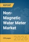 Non-Magnetic Water Meter Market Report 2026 - Product Thumbnail Image
