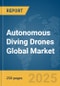 Autonomous Diving Drones Global Market Report 2025 - Product Thumbnail Image