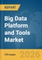 Big Data Platform and Tools Market Report 2026 - Product Thumbnail Image