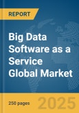 Big Data Software as a Service Global Market Report 2025- Product Image