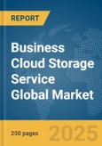 Business Cloud Storage Service Global Market Report 2025- Product Image