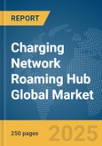 Charging Network Roaming Hub Global Market Report 2025- Product Image