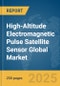 High-Altitude Electromagnetic Pulse (EMP) Satellite Sensor Global Market Report 2025 - Product Thumbnail Image