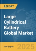 Large Cylindrical Battery Global Market Report 2025- Product Image
