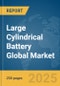 Large Cylindrical Battery Global Market Report 2025 - Product Thumbnail Image