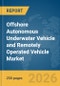 Offshore Autonomous Underwater Vehicle (AUV) and Remotely Operated Vehicle (ROV) Market Report 2026 - Product Image
