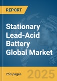 Stationary Lead-Acid Battery Global Market Report 2025- Product Image