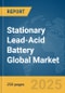 Stationary Lead-Acid Battery Global Market Report 2025 - Product Thumbnail Image