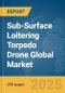 Sub-Surface Loitering Torpedo Drone Global Market Report 2025 - Product Thumbnail Image