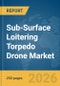 Sub-Surface Loitering Torpedo Drone Market Report 2026 - Product Thumbnail Image