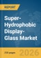 Super-Hydrophobic Display-Glass Market Report 2026 - Product Image