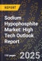 2025 Global Forecast for Sodium Hypophosphite Market (2026-2031): High Tech Outlook Report - Product Thumbnail Image