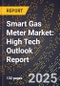 2025 Global Forecast for Smart Gas Meter Market (2026-2031): High Tech Outlook Report - Product Thumbnail Image
