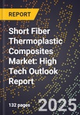 2025 Global Forecast for Short Fiber Thermoplastic Composites Market (2026-2031): High Tech Outlook Report- Product Image