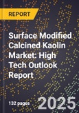 2025 Global Forecast for Surface Modified Calcined Kaolin Market (2026-2031): High Tech Outlook Report- Product Image