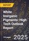 2025 Global Forecast for White Inorganic Pigments (2026-2031): High Tech Outlook Report - Product Thumbnail Image