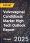 2025 Global Forecast for Vulvovaginal Candidiasis Marke (2026-2031): High Tech Outlook Report - Product Thumbnail Image