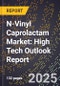 2025 Global Forecast for N-Vinyl Caprolactam (Nvc) Market (2026-2031): High Tech Outlook Report - Product Image