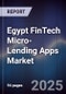 Egypt FinTech Micro-Lending Apps Market - Product Image