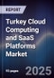 Turkey Cloud Computing and SaaS Platforms Market - Product Image
