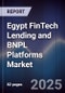 Egypt FinTech Lending and BNPL Platforms Market - Product Image