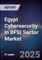 Egypt Cybersecurity in BFSI Sector Market - Product Image