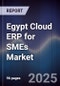 Egypt Cloud ERP for SMEs Market - Product Thumbnail Image