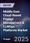 Middle East Cloud-Based Prompt Management & LLMOps Platforms Market Size, Share, Growth Drivers, Trends, Opportunities, Competitive Landscape & Forecast 2025-2030 - Product Thumbnail Image