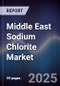 Middle East Sodium Chlorite Market Size, Share, Growth Drivers, Trends, Opportunities & Forecast 2025-2030 - Product Thumbnail Image