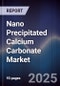 Nano Precipitated Calcium Carbonate Market - Product Thumbnail Image