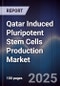 Qatar Induced Pluripotent Stem Cells Production Market - Product Thumbnail Image