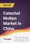 Catechol Molten Market in China - Product Image