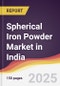 Spherical Iron Powder Market in India - Product Thumbnail Image