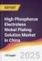 High Phosphorus Electroless Nickel Plating Solution Market in China - Product Image