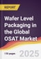 Technology Landscape, Trends and Opportunities in Wafer Level Packaging in the Global OSAT Market - Product Thumbnail Image
