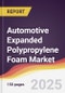 Automotive Expanded Polypropylene Foam Market Report: Trends, Forecast and Competitive Analysis to 2031 - Product Thumbnail Image