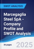 Marcegaglia Steel SpA - Company Profile and SWOT Analysis- Product Image