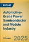 Automotive-Grade Power Semiconductor and Module (SiC, GaN) Industry Research Report, 2025 - Product Thumbnail Image