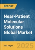 Near-Patient Molecular Solutions Global Market Report 2025- Product Image