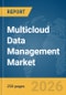 Multicloud Data Management Market Report 2026 - Product Thumbnail Image