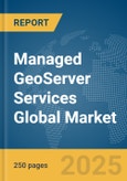 Managed GeoServer Services Global Market Report 2025- Product Image