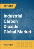 Industrial Carbon Dioxide Global Market Report 2025- Product Image