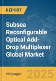 Subsea Reconfigurable Optical Add-Drop Multiplexer (ROADM) Global Market Report 2025- Product Image
