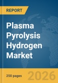Plasma Pyrolysis Hydrogen Market Report 2026- Product Image