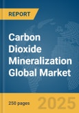 Carbon Dioxide (CO2) Mineralization Global Market Report 2025- Product Image