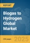 Biogas to Hydrogen Global Market Report 2025 - Product Thumbnail Image