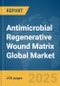 Antimicrobial Regenerative Wound Matrix Global Market Report 2025 - Product Thumbnail Image